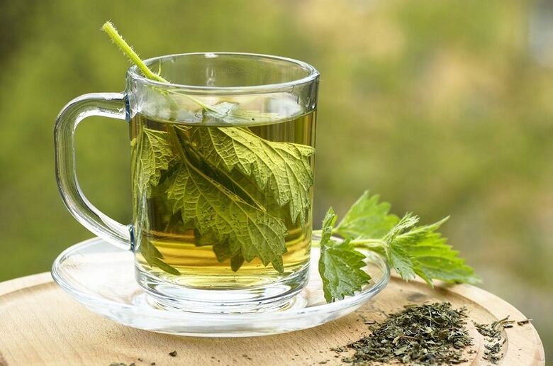 Le bouillon d'ortie pour augmenter la puissance